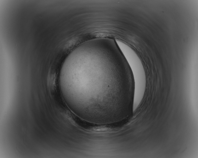 X0000086250219200704191849