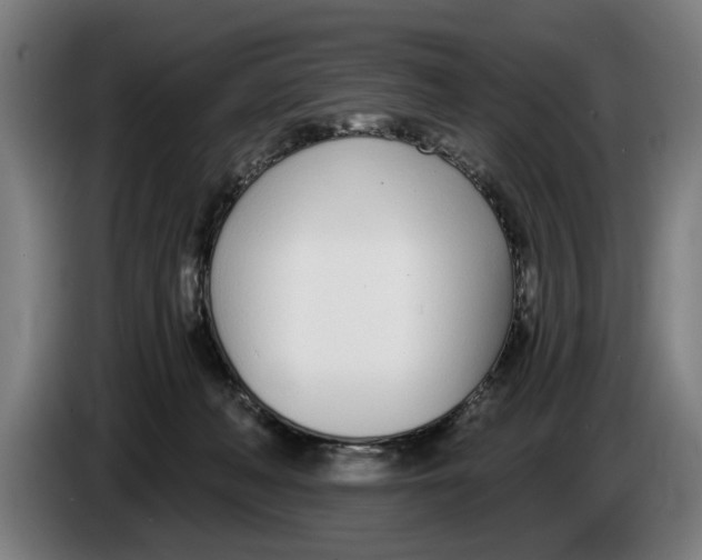 X0000086250222200704191849
