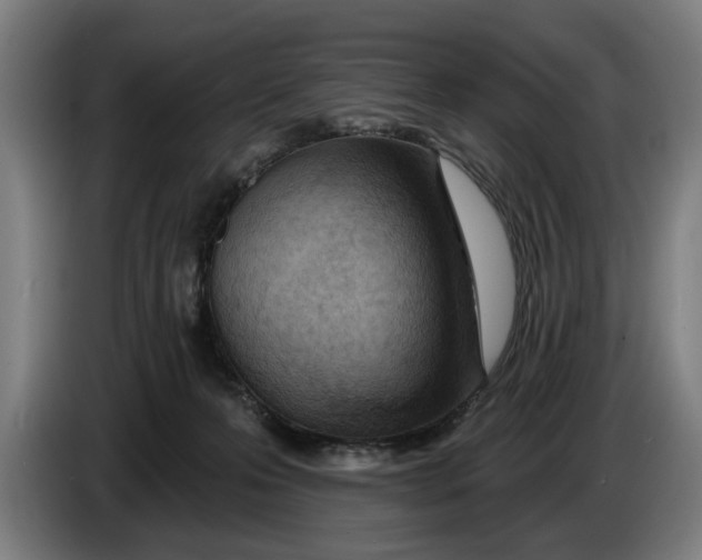 X0000086250223200704191849
