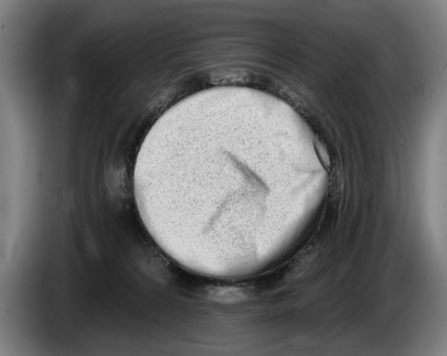 X0000086250224200704191849