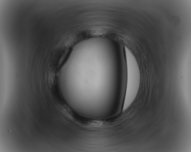 X0000086250227200704191849
