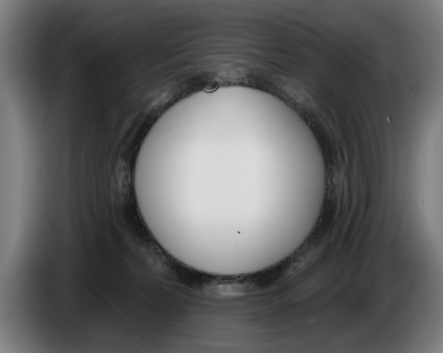 X0000086250228200704191849