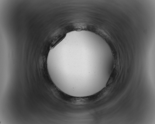 X0000086250229200704191849