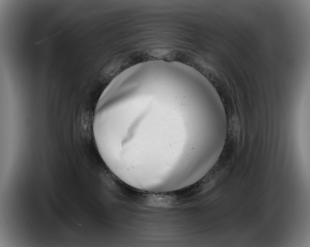 X0000086250234200704191849