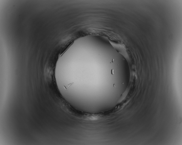 X0000086250235200704191849