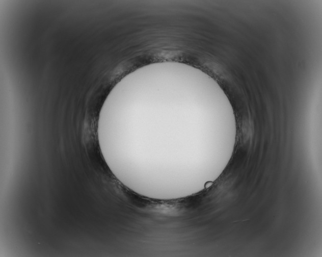X0000086250236200704191849