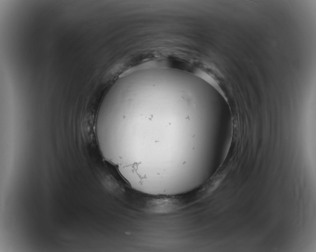 X0000086250237200704191849