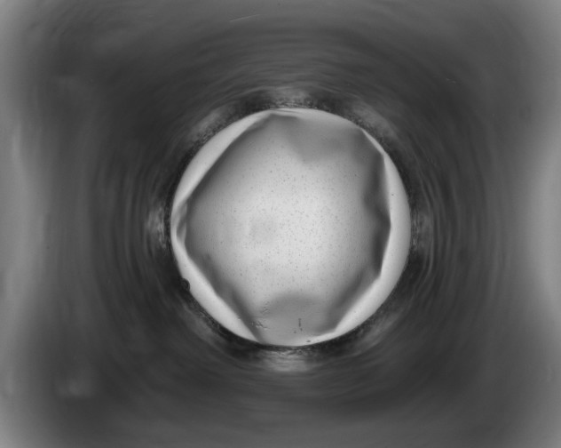 X0000086250238200704191849