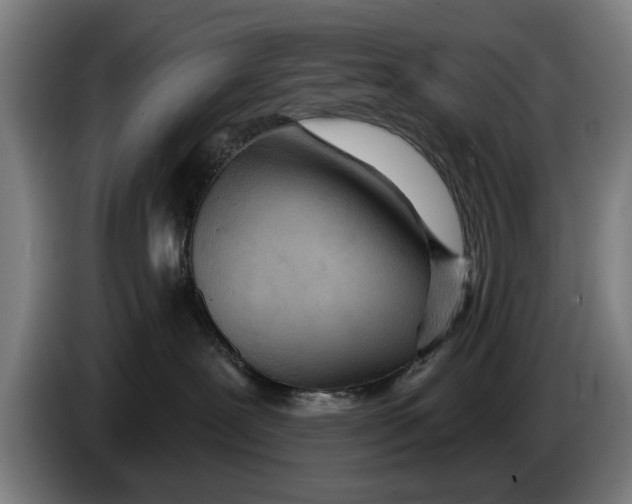X0000086250239200704191849