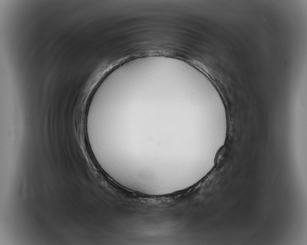 X0000086250241200704191848