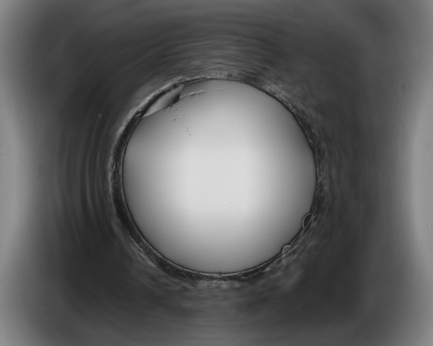 X0000086250242200704191848