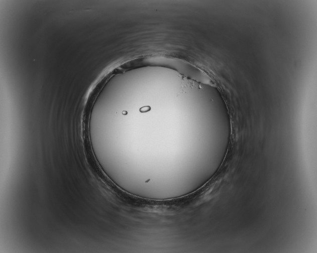 X0000086250244200704191848