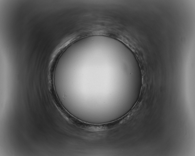 X0000086250245200704191848
