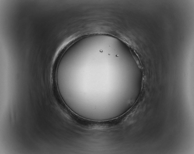 X0000086250248200704191848
