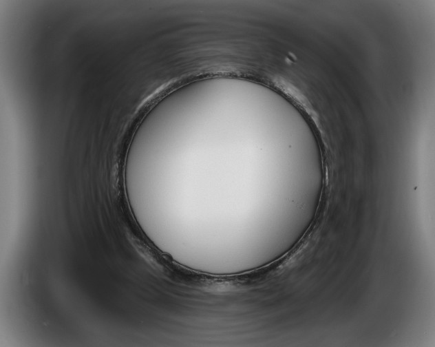 X0000086250249200704191848