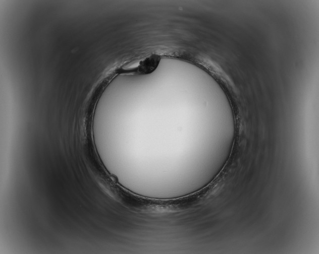 X0000086250250200704191848