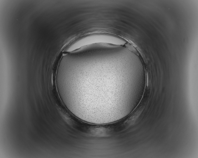 X0000086250253200704191848