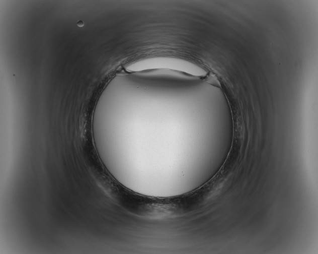 X0000086250255200704191848