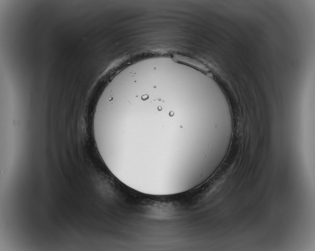 X0000086250256200704191848