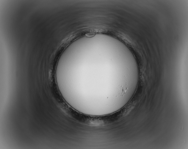 X0000086250258200704191848