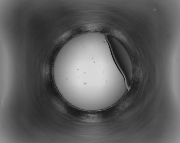 X0000086250260200704191849