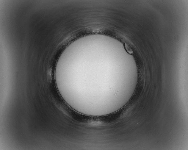 X0000086250262200704191849
