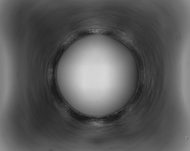X0000086250263200704191849