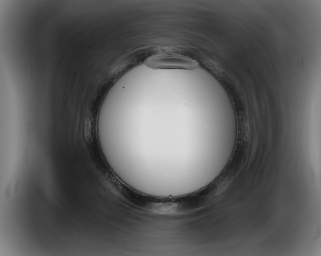 X0000086250266200704191849