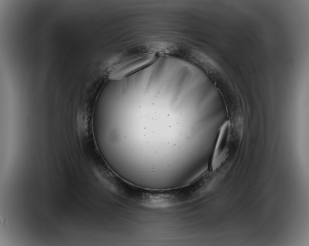 X0000086250268200704191849