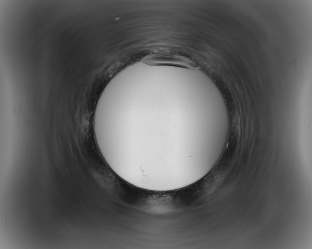 X0000086250271200704191849