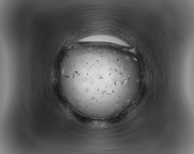 X0000086250272200704191849