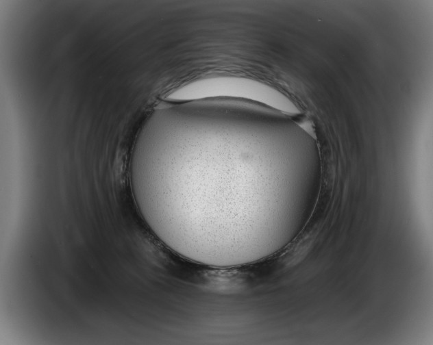 X0000086250273200704191849
