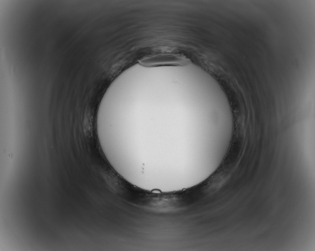 X0000086250274200704191849