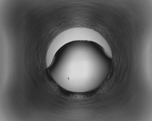 X0000086250276200704191849