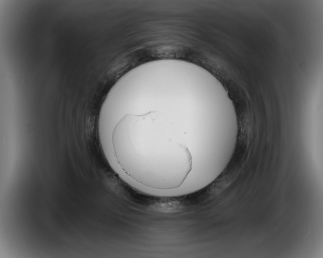 X0000086250278200704191849