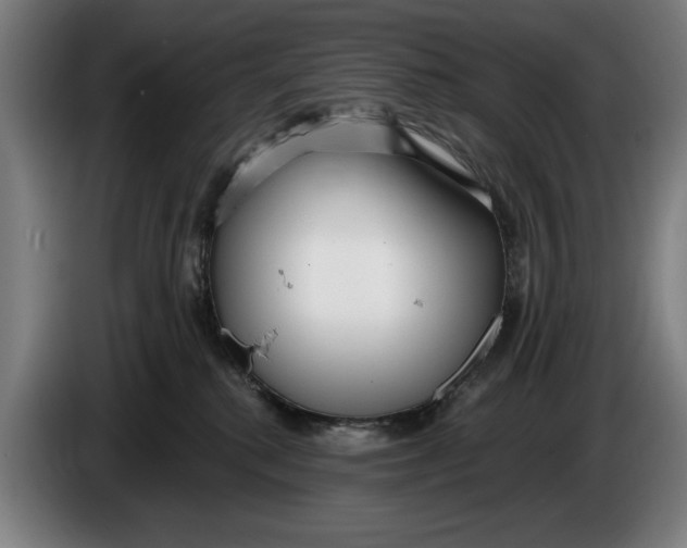 X0000086250280200704191849