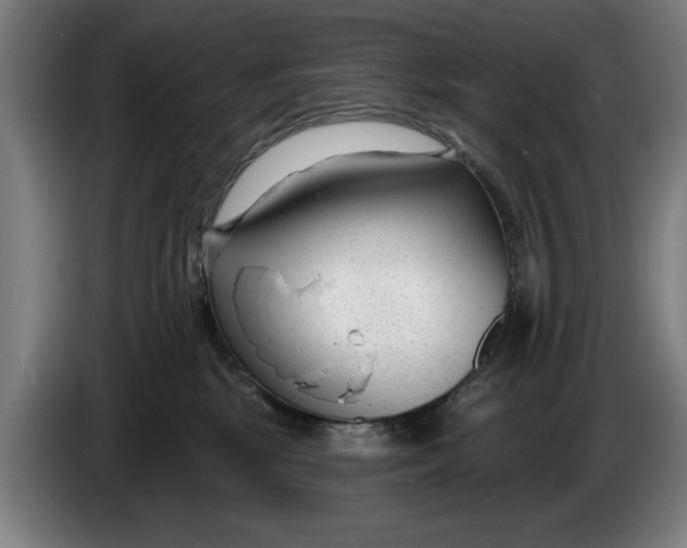 X0000086250281200704191849