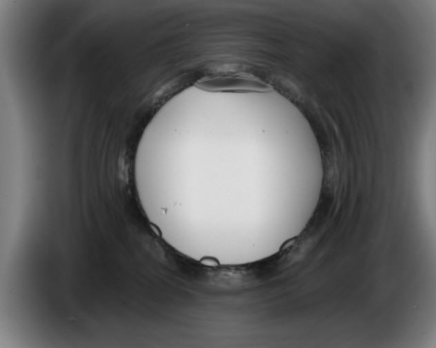 X0000086250282200704191849