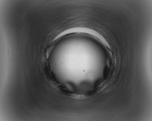 X0000086250284200704191849