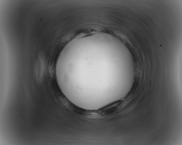 X0000086250285200704191849