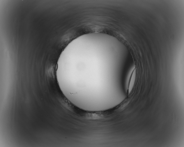X0000086250286200704191849