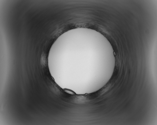 X0000086250287200704191849