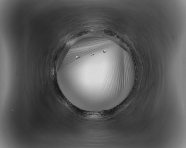 X0000086250288200704191849