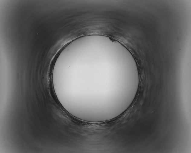 X0000086250290200704191848