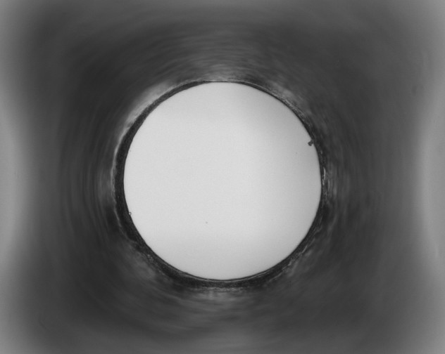 X0000086250292200704191848