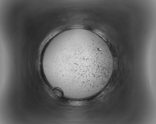 X0000086250293200704191848