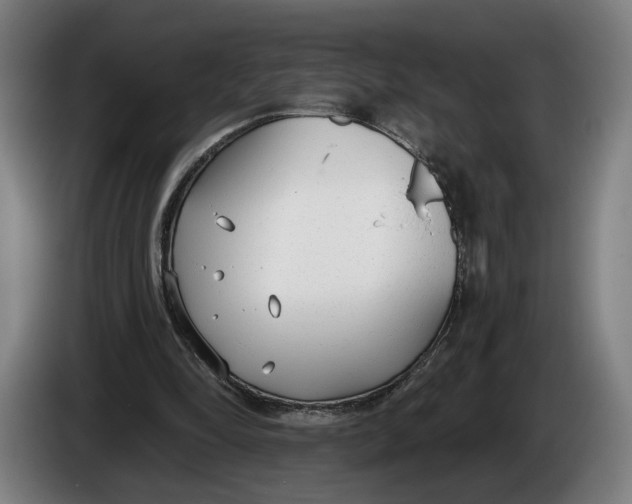 X0000086250294200704191848