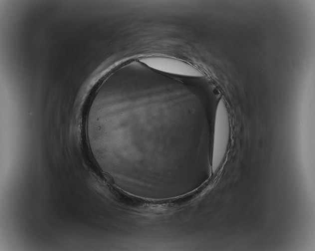 X0000086250295200704191848