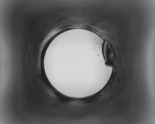 X0000086250296200704191848