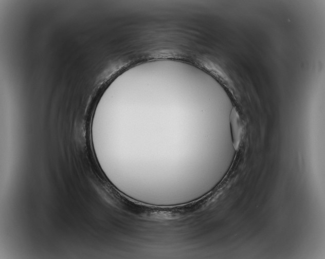 X0000086250298200704191848